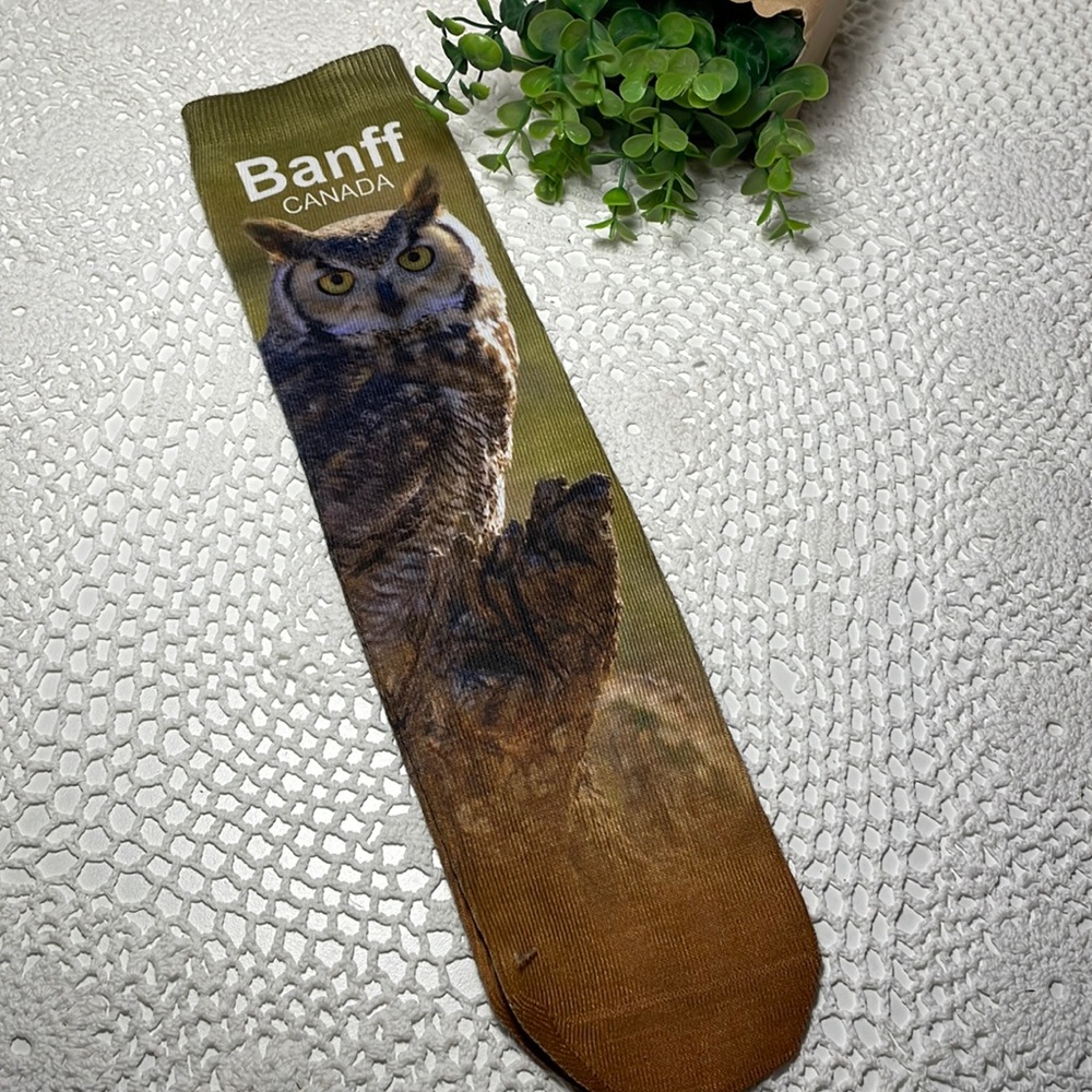 New! Banff Owl 🦉 socks 🧦
